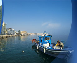 Ischia hotels