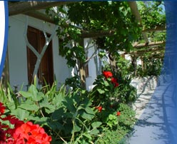 Ischia hotels