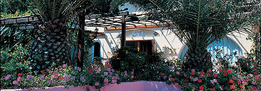 Hotel ischia, albergo Santa Maria, hotel a prezzi scontati, last minute, offerte4 speciali ischia hotel